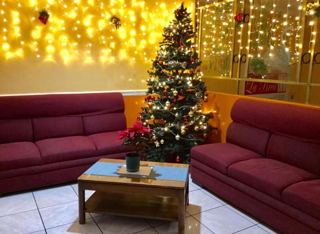 La Brea Inn Baguio City Ngoại thất bức ảnh